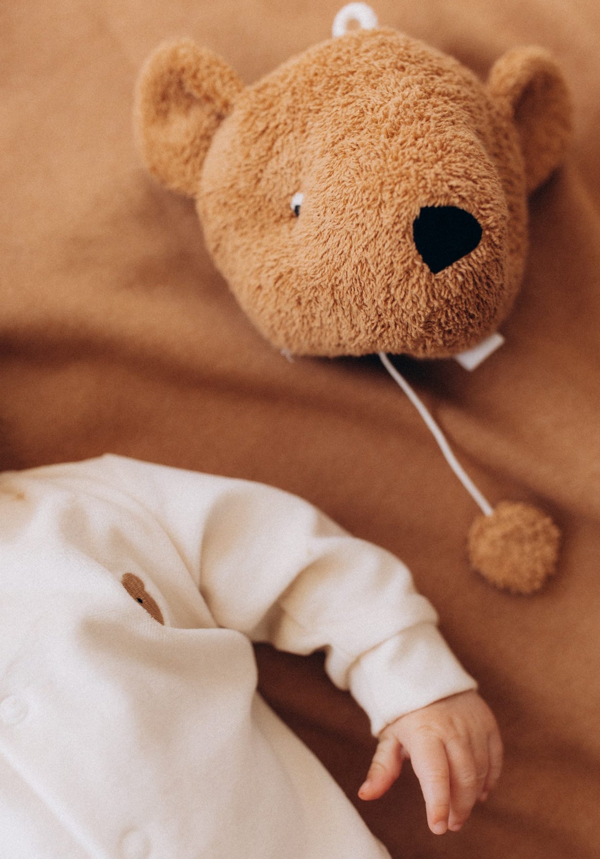 Carrillon orsetto wooly